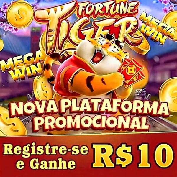 bingo online gratis youtube 