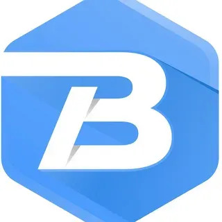bingo online real 