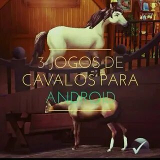 novibet yt 
