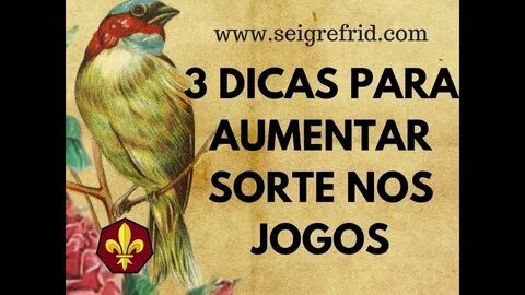palmeiras de madagascar 