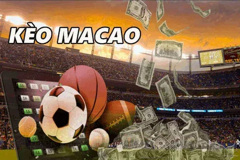tv leao novibet bastidores 